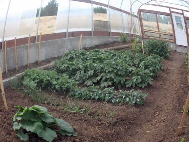 Colorado Springs polycarbonate, structures, polycarbonate greenhouses, greenhouse polycarbonate, 16mm polycarbonate panels, polycarbonate panels for sale