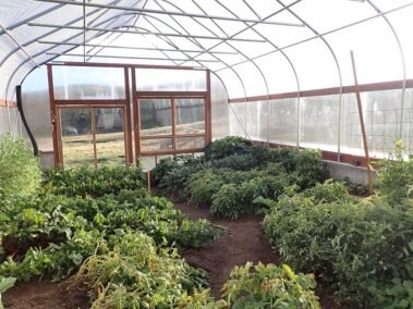 best polycarbonate panels exterior, best polycarbonate panels Colorado Springs, polycarbonate sheets